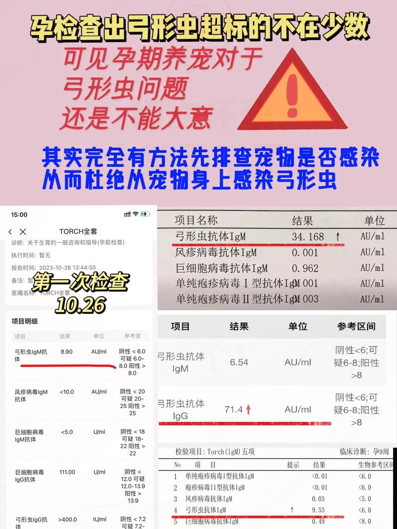 狗狗弓形虫检查多少钱_狗狗弓形虫检查费用-第3张图片-后鲨宠物 狗狗弓形虫检查多少钱_狗狗弓形虫检查费用-第3张图片-后鲨宠物