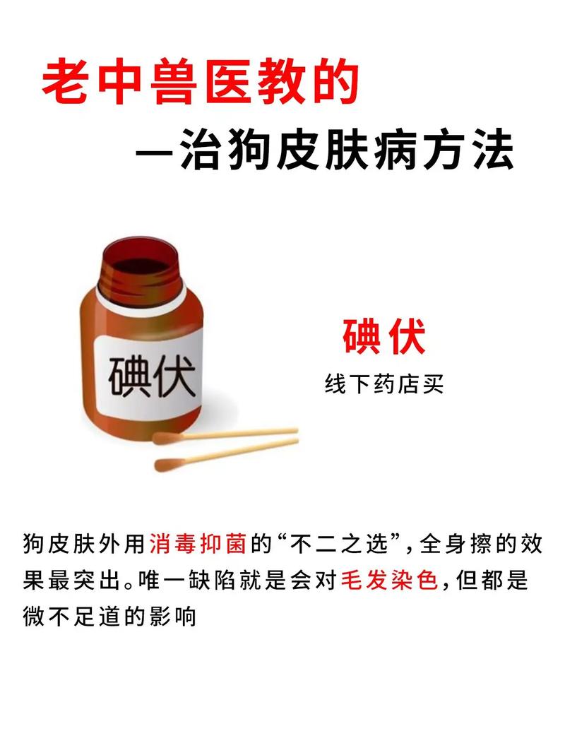 狗狗可以用碘伏消毒吗,狗可以涂碘伏消毒吗-第1张图片-后鲨宠物 狗狗可以用碘伏消毒吗,狗可以涂碘伏消毒吗-第1张图片-后鲨宠物
