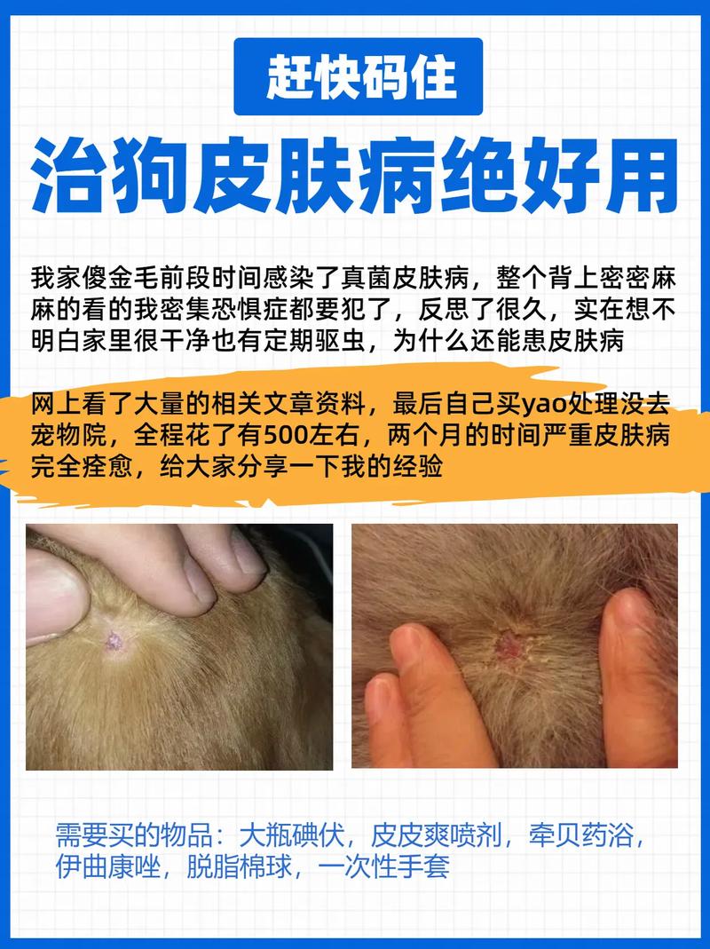 狗狗可以用碘伏消毒吗,狗可以涂碘伏消毒吗-第4张图片-后鲨宠物 狗狗可以用碘伏消毒吗,狗可以涂碘伏消毒吗-第4张图片-后鲨宠物