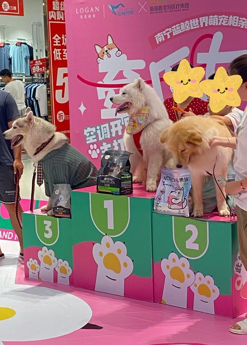 狗狗可以进商场吗_狗可以去超市和商场吗-第5张图片-后鲨宠物 狗狗可以进商场吗_狗可以去超市和商场吗-第5张图片-后鲨宠物