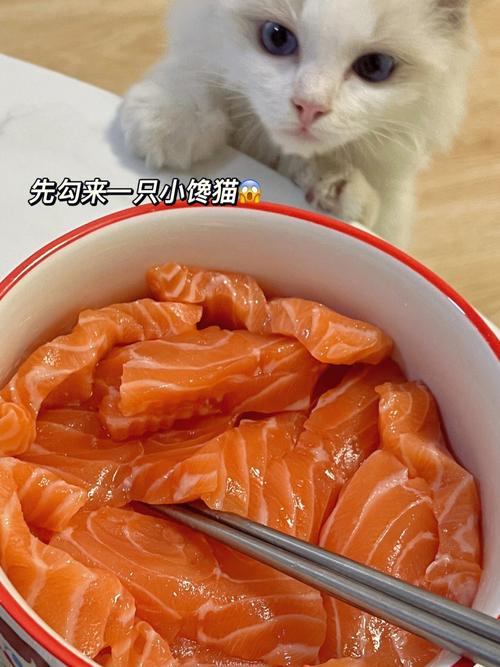 猫咪可以吃生三文鱼吗,猫猫能吃生三文鱼吗-第2张图片-后鲨宠物 猫咪可以吃生三文鱼吗,猫猫能吃生三文鱼吗-第2张图片-后鲨宠物