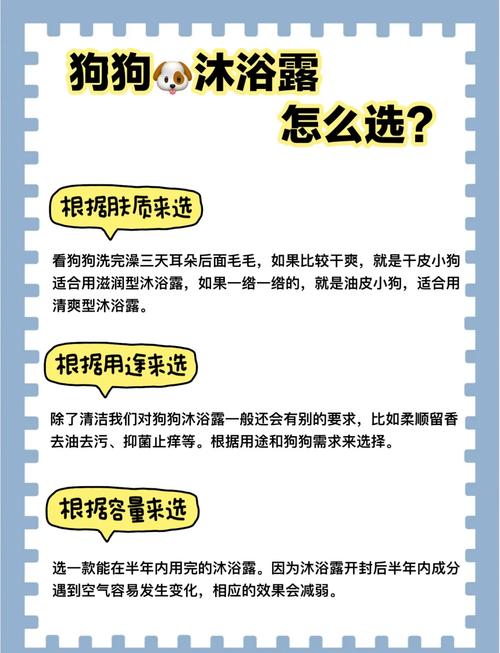 狗狗皮肤病能洗澡吗,狗狗皮肤病能洗澡吗会传染吗-第5张图片-后鲨宠物 狗狗皮肤病能洗澡吗,狗狗皮肤病能洗澡吗会传染吗-第5张图片-后鲨宠物