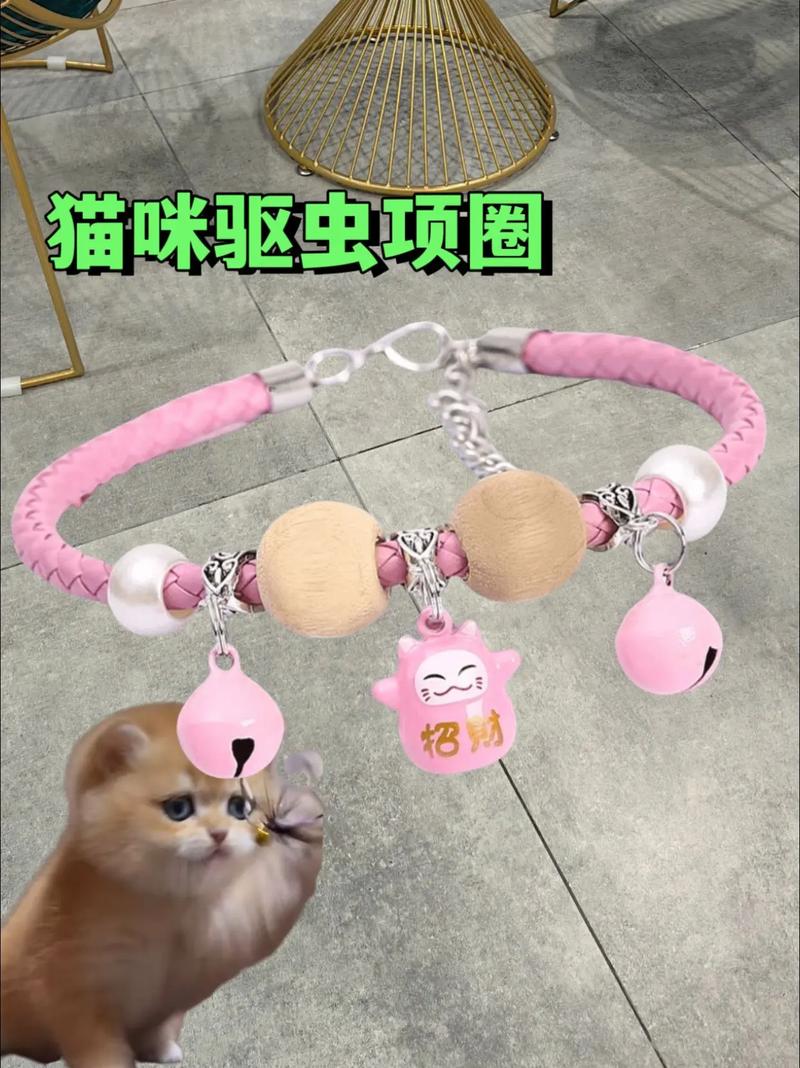 猫咪可以带项圈吗,猫咪可以带颈圈吗-第5张图片-后鲨宠物 猫咪可以带项圈吗,猫咪可以带颈圈吗-第5张图片-后鲨宠物