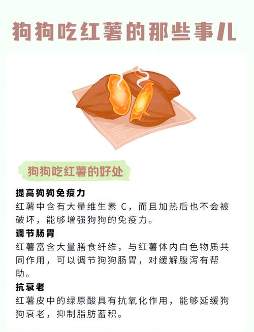 狗狗能吃地瓜吗_狗可以吃地瓜-第2张图片-后鲨宠物 狗狗能吃地瓜吗_狗可以吃地瓜-第2张图片-后鲨宠物