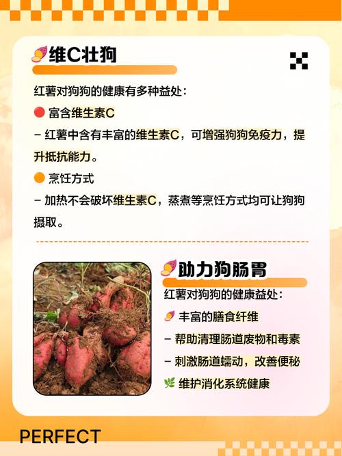 狗狗能吃地瓜吗_狗可以吃地瓜-第3张图片-后鲨宠物 狗狗能吃地瓜吗_狗可以吃地瓜-第3张图片-后鲨宠物