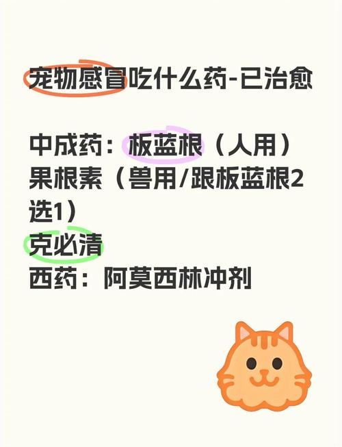狗狗感冒不吃药会好吗,狗狗感冒不吃药可以吗-第4张图片-后鲨宠物 狗狗感冒不吃药会好吗,狗狗感冒不吃药可以吗-第4张图片-后鲨宠物