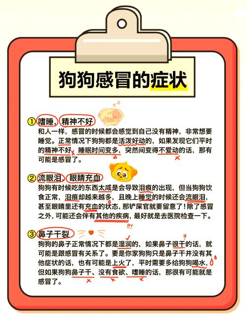 狗狗感冒不吃药会好吗,狗狗感冒不吃药可以吗-第6张图片-后鲨宠物 狗狗感冒不吃药会好吗,狗狗感冒不吃药可以吗-第6张图片-后鲨宠物