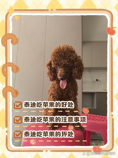 狗狗可以吃苹果皮吗,狗能吃苹果吗?-第4张图片-后鲨宠物 狗狗可以吃苹果皮吗,狗能吃苹果吗?-第4张图片-后鲨宠物