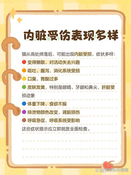 猫咪内脏受损的表现,猫咪内脏受损的表现是什么?-第1张图片-后鲨宠物 猫咪内脏受损的表现,猫咪内脏受损的表现是什么?-第1张图片-后鲨宠物