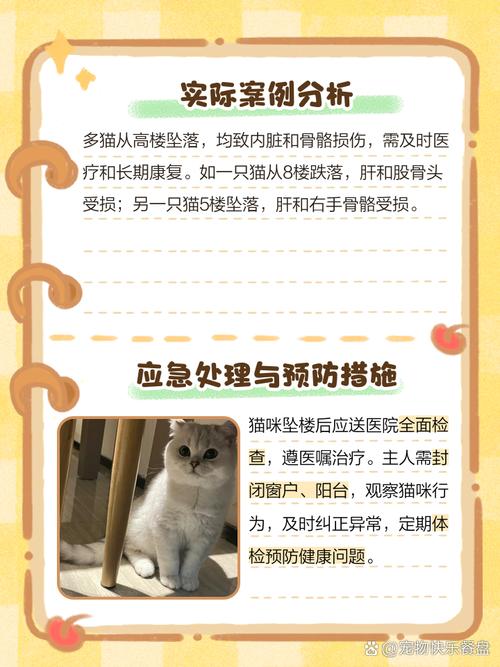 猫咪内脏受损的表现,猫咪内脏受损的表现是什么?-第2张图片-后鲨宠物 猫咪内脏受损的表现,猫咪内脏受损的表现是什么?-第2张图片-后鲨宠物