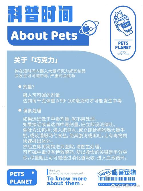 狗狗吃了糖怎么办,狗狗吃了一块糖?-第6张图片-后鲨宠物 狗狗吃了糖怎么办,狗狗吃了一块糖?-第6张图片-后鲨宠物