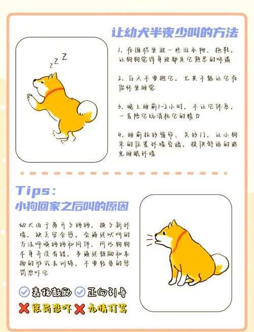 怎么让狗狗快速睡觉,怎样让狗狗快速睡觉?-第5张图片-后鲨宠物 怎么让狗狗快速睡觉,怎样让狗狗快速睡觉?-第5张图片-后鲨宠物