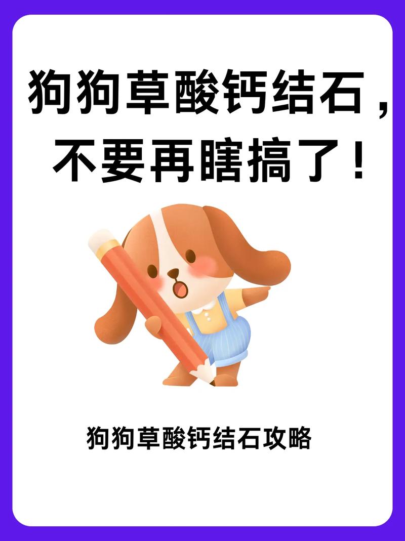 狗狗结石吃什么药比较好_狗狗结石吃药能治愈吗-第3张图片-后鲨宠物 狗狗结石吃什么药比较好_狗狗结石吃药能治愈吗-第3张图片-后鲨宠物