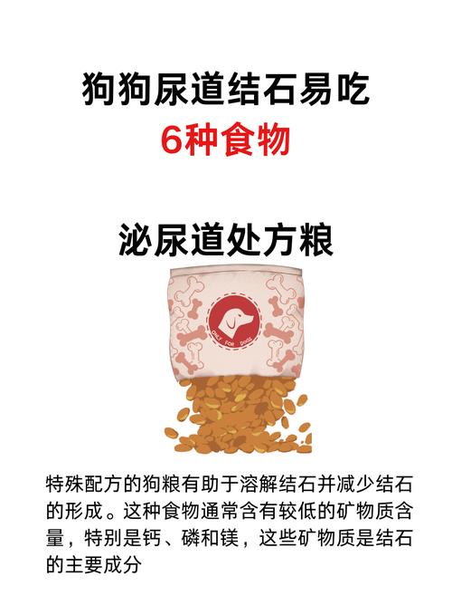 狗狗结石吃什么药比较好_狗狗结石吃药能治愈吗-第6张图片-后鲨宠物 狗狗结石吃什么药比较好_狗狗结石吃药能治愈吗-第6张图片-后鲨宠物