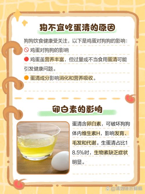 狗狗吃蛋清会怎么样,狗狗吃蛋清会怎么样吗?-第1张图片-后鲨宠物 狗狗吃蛋清会怎么样,狗狗吃蛋清会怎么样吗?-第1张图片-后鲨宠物