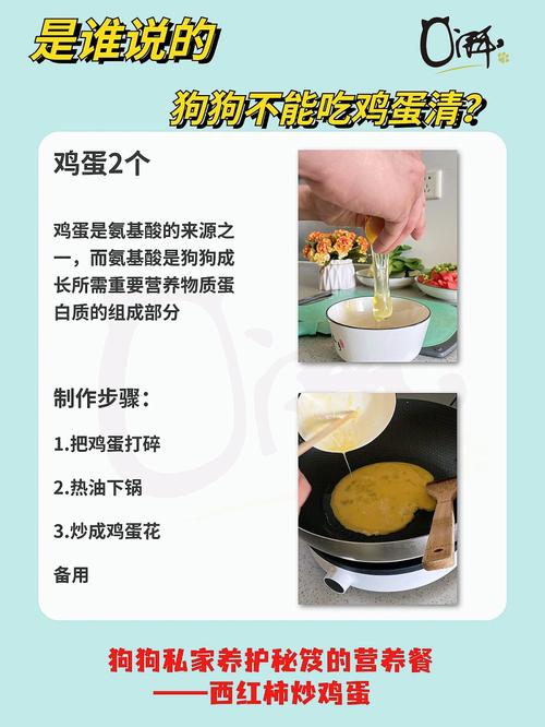 狗狗吃蛋清会怎么样,狗狗吃蛋清会怎么样吗?-第3张图片-后鲨宠物 狗狗吃蛋清会怎么样,狗狗吃蛋清会怎么样吗?-第3张图片-后鲨宠物