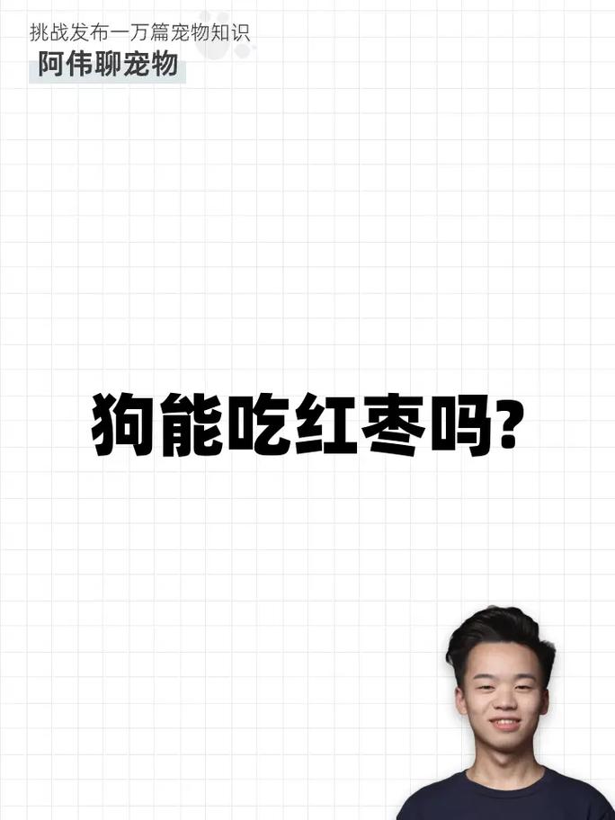 狗狗可以吃红枣干吗,狗狗能不能吃红枣??-第1张图片-后鲨宠物 狗狗可以吃红枣干吗,狗狗能不能吃红枣??-第1张图片-后鲨宠物