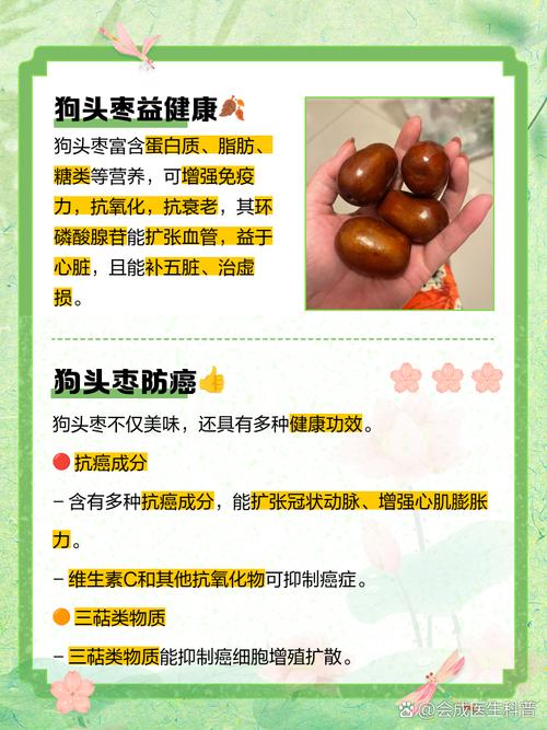 狗狗可以吃红枣干吗,狗狗能不能吃红枣??-第3张图片-后鲨宠物 狗狗可以吃红枣干吗,狗狗能不能吃红枣??-第3张图片-后鲨宠物