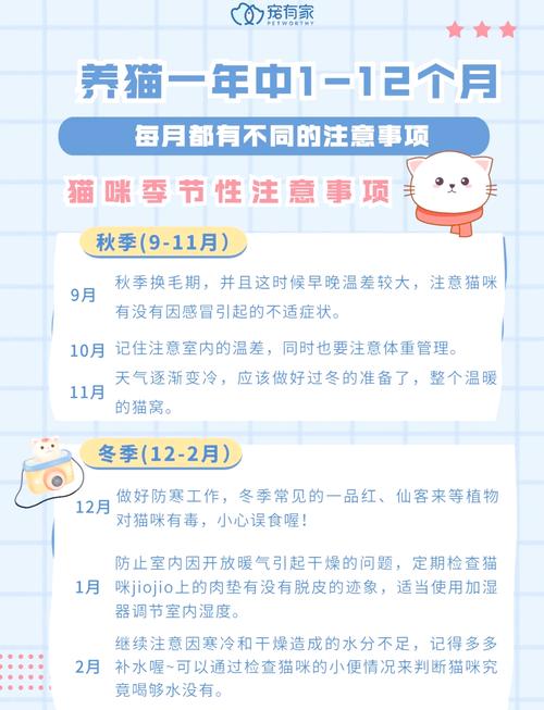 猫咪一年发情几次,猫咪一年发情几次会怀孕-第1张图片-后鲨宠物 猫咪一年发情几次,猫咪一年发情几次会怀孕-第1张图片-后鲨宠物