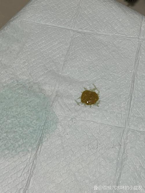 狗狗换环境拉稀正常吗,狗狗换环境拉稀正常吗怎么办-第5张图片-后鲨宠物 狗狗换环境拉稀正常吗,狗狗换环境拉稀正常吗怎么办-第5张图片-后鲨宠物