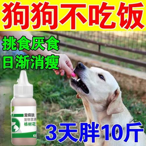 狗狗能吃消食片吗,狗狗能吃消食片吗??-第3张图片-后鲨宠物 狗狗能吃消食片吗,狗狗能吃消食片吗??-第3张图片-后鲨宠物