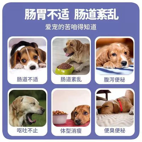 狗狗能吃消食片吗,狗狗能吃消食片吗??-第4张图片-后鲨宠物 狗狗能吃消食片吗,狗狗能吃消食片吗??-第4张图片-后鲨宠物