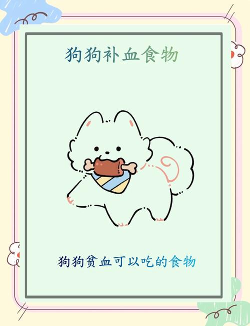 狗狗贫血吃什么补血_狗狗贫血吃啥可以补血-第4张图片-后鲨宠物 狗狗贫血吃什么补血_狗狗贫血吃啥可以补血-第4张图片-后鲨宠物