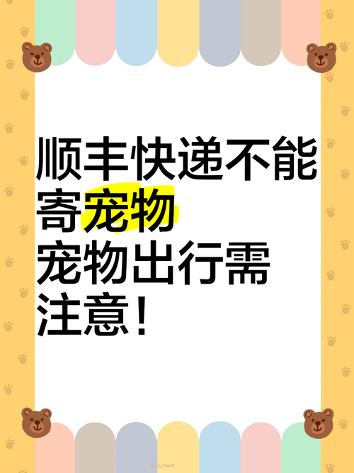 狗狗可以寄顺丰快递吗,狗能不能发顺丰-第4张图片-后鲨宠物 狗狗可以寄顺丰快递吗,狗能不能发顺丰-第4张图片-后鲨宠物