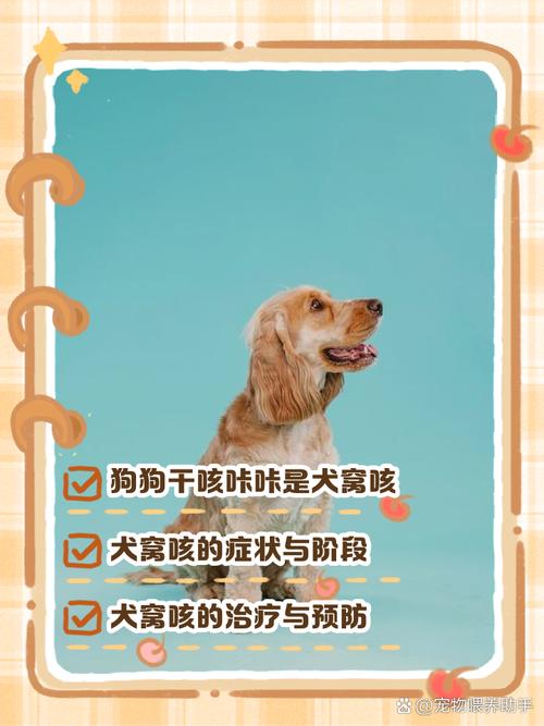 狗狗干咳干呕咔精神好,狗狗干咳干呕咔精神好没有鼻涕?-第2张图片-后鲨宠物 狗狗干咳干呕咔精神好,狗狗干咳干呕咔精神好没有鼻涕?-第2张图片-后鲨宠物