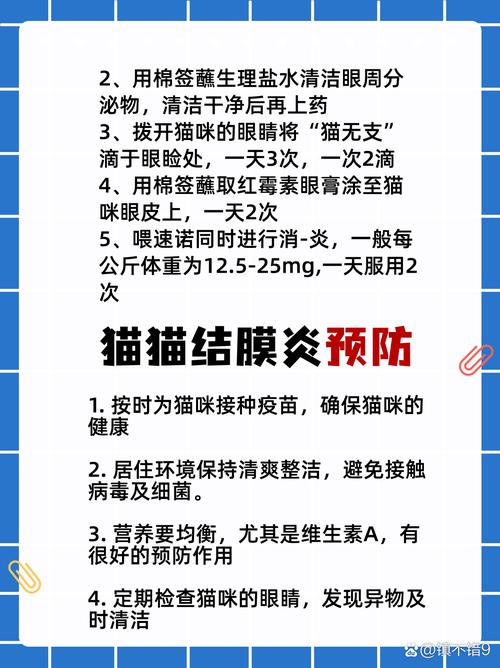 猫咪结膜炎能自愈吗,猫咪结膜炎严重了会怎么样?-第5张图片-后鲨宠物 猫咪结膜炎能自愈吗,猫咪结膜炎严重了会怎么样?-第5张图片-后鲨宠物