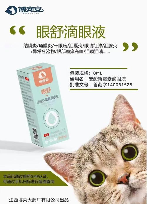 猫咪眼药水哪个牌子好_猫咪专用的眼药水-第2张图片-后鲨宠物 猫咪眼药水哪个牌子好_猫咪专用的眼药水-第2张图片-后鲨宠物