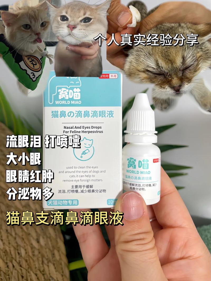 猫咪眼药水哪个牌子好_猫咪专用的眼药水-第5张图片-后鲨宠物 猫咪眼药水哪个牌子好_猫咪专用的眼药水-第5张图片-后鲨宠物