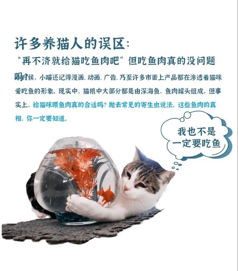 猫咪可以吃鱼内脏吗,宠物猫能吃鱼内脏吗??-第1张图片-后鲨宠物 猫咪可以吃鱼内脏吗,宠物猫能吃鱼内脏吗??-第1张图片-后鲨宠物