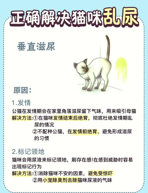 猫咪在床上尿的原因_猫咪老是上小厕怎么回事-第3张图片-后鲨宠物 猫咪在床上尿的原因_猫咪老是上小厕怎么回事-第3张图片-后鲨宠物
