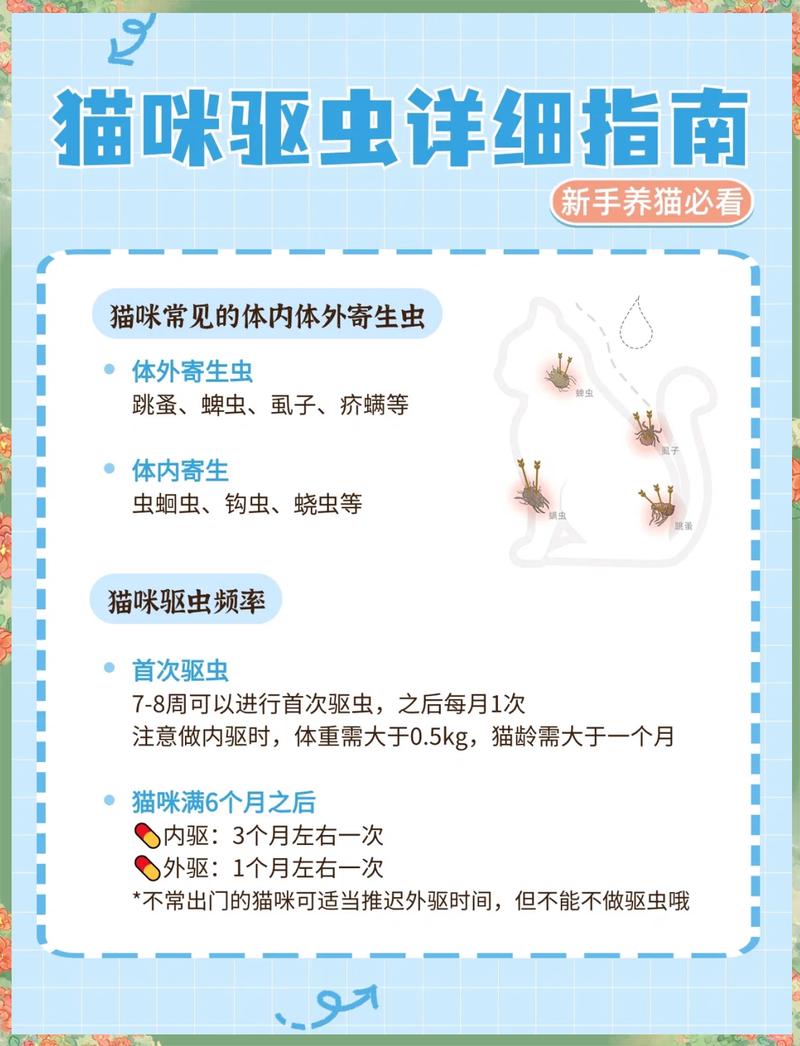 猫咪体内驱虫怎么做,给猫咪体内驱虫该怎么做?-第5张图片-后鲨宠物 猫咪体内驱虫怎么做,给猫咪体内驱虫该怎么做?-第5张图片-后鲨宠物