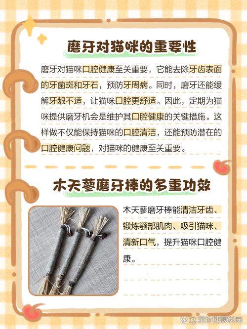 猫咪磨牙用什么,猫咪磨牙用什么方法-第1张图片-后鲨宠物 猫咪磨牙用什么,猫咪磨牙用什么方法-第1张图片-后鲨宠物