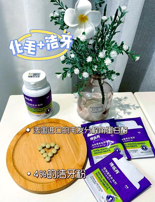 猫咪磨牙用什么,猫咪磨牙用什么方法-第2张图片-后鲨宠物 猫咪磨牙用什么,猫咪磨牙用什么方法-第2张图片-后鲨宠物