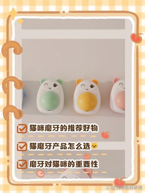 猫咪磨牙用什么,猫咪磨牙用什么方法-第3张图片-后鲨宠物 猫咪磨牙用什么,猫咪磨牙用什么方法-第3张图片-后鲨宠物