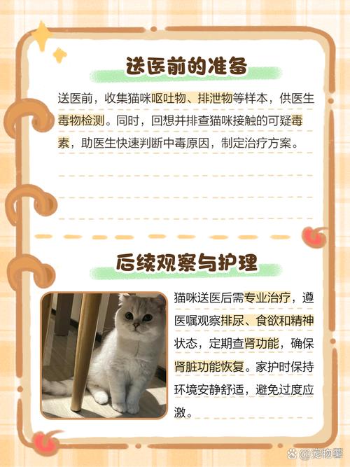 猫咪可以吃葡萄干吗,小猫咪可以吃葡萄干?-第3张图片-后鲨宠物 猫咪可以吃葡萄干吗,小猫咪可以吃葡萄干?-第3张图片-后鲨宠物