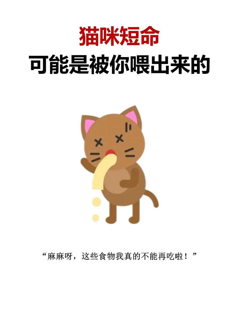 猫咪可以吃葡萄干吗,小猫咪可以吃葡萄干?-第6张图片-后鲨宠物 猫咪可以吃葡萄干吗,小猫咪可以吃葡萄干?-第6张图片-后鲨宠物