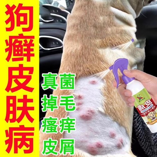 狗狗身上痒痒用什么药,狗狗身上痒怎么办能止痒?-第4张图片-后鲨宠物 狗狗身上痒痒用什么药,狗狗身上痒怎么办能止痒?-第4张图片-后鲨宠物