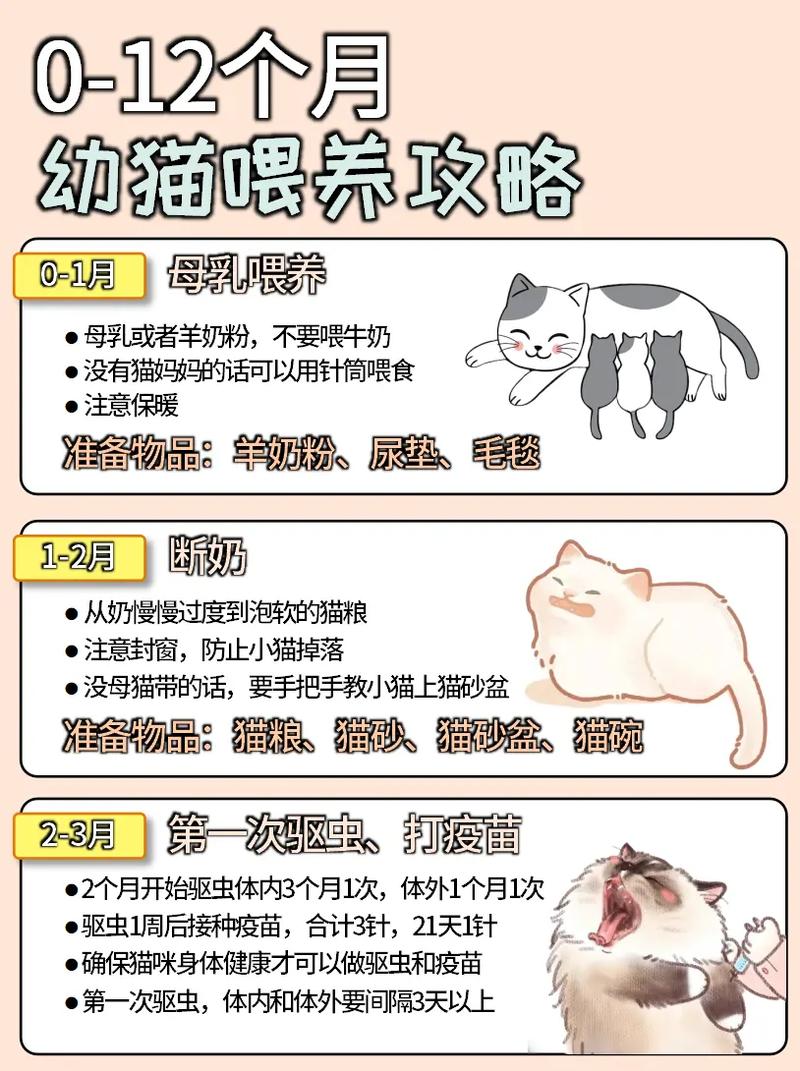 初生猫咪怎么喂养,初生小猫怎么喂养?-第1张图片-后鲨宠物 初生猫咪怎么喂养,初生小猫怎么喂养?-第1张图片-后鲨宠物