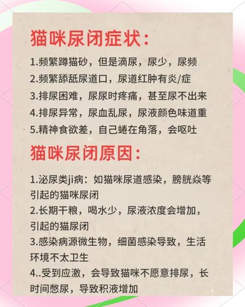 猫咪尿不出来怎么办,猫咪尿不出来怎么办还哀嚎还要喂水吗?-第5张图片-后鲨宠物 猫咪尿不出来怎么办,猫咪尿不出来怎么办还哀嚎还要喂水吗?-第5张图片-后鲨宠物