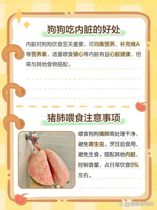 狗狗吃猪肺好吗_狗狗吃猪肺好吗有营养吗-第2张图片-后鲨宠物 狗狗吃猪肺好吗_狗狗吃猪肺好吗有营养吗-第2张图片-后鲨宠物