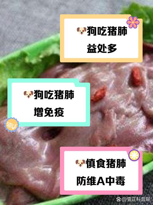 狗狗吃猪肺好吗_狗狗吃猪肺好吗有营养吗-第5张图片-后鲨宠物 狗狗吃猪肺好吗_狗狗吃猪肺好吗有营养吗-第5张图片-后鲨宠物