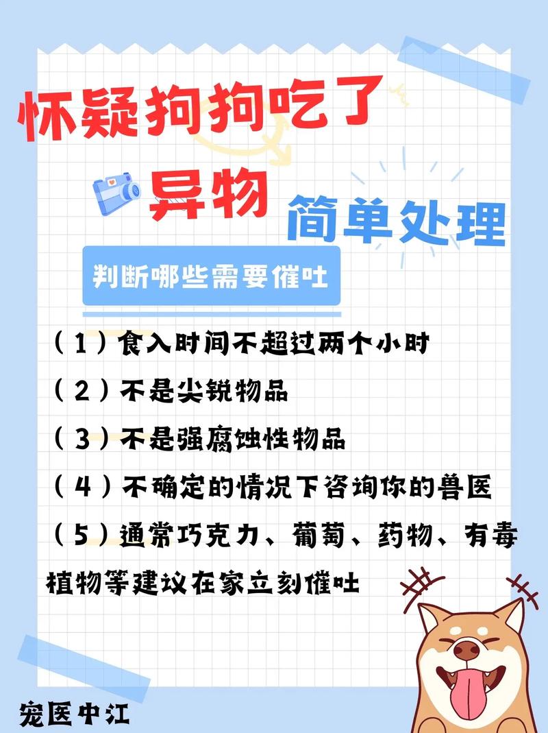 狗狗催吐肥皂水比例，狗狗催吐的方法肥皂水是香皂？-第1张图片-后鲨宠物