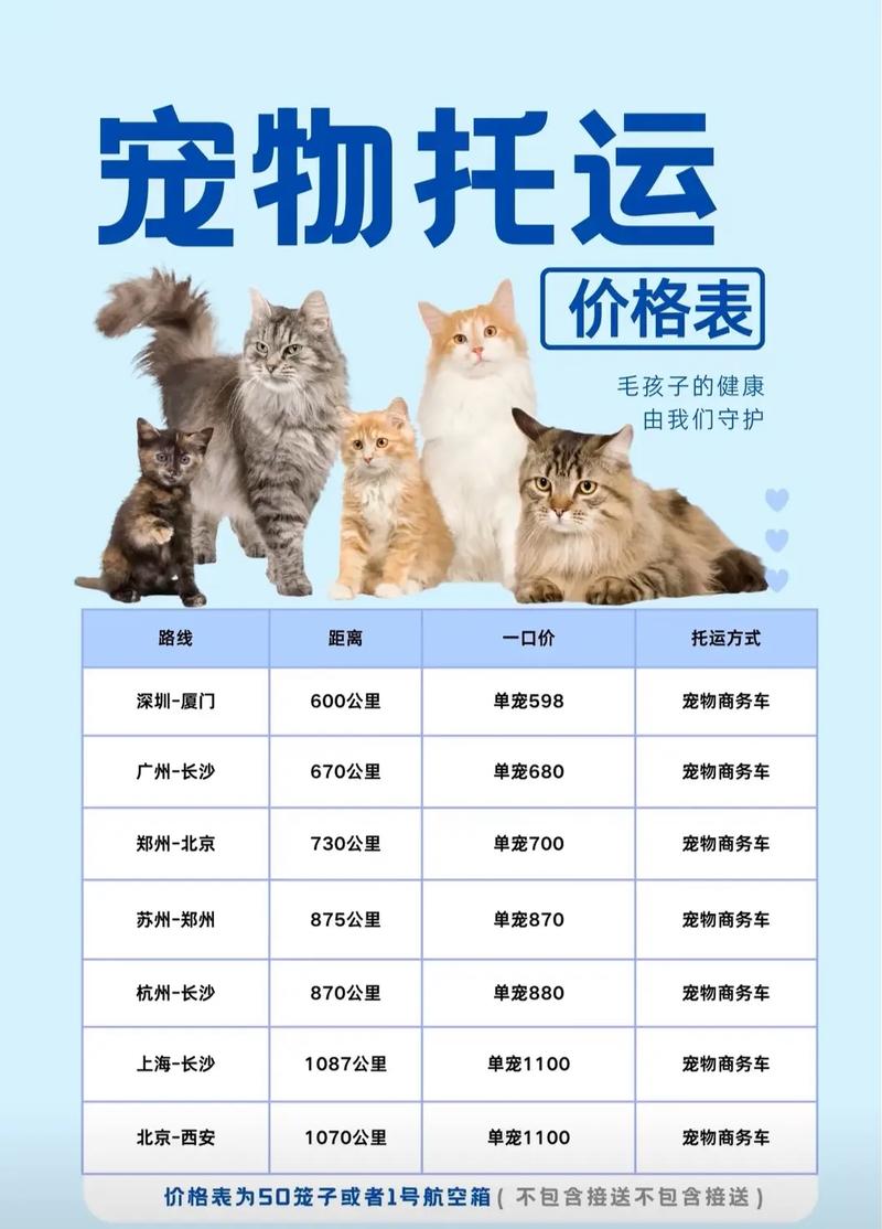 托运猫咪多少钱_托运猫咪多少钱一只-第1张图片-后鲨宠物 托运猫咪多少钱_托运猫咪多少钱一只-第1张图片-后鲨宠物