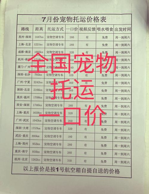 托运猫咪多少钱_托运猫咪多少钱一只-第4张图片-后鲨宠物 托运猫咪多少钱_托运猫咪多少钱一只-第4张图片-后鲨宠物