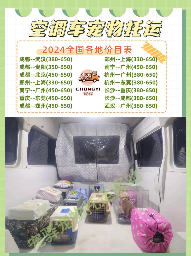 托运猫咪多少钱_托运猫咪多少钱一只-第5张图片-后鲨宠物 托运猫咪多少钱_托运猫咪多少钱一只-第5张图片-后鲨宠物