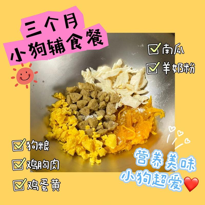 几个月大的狗狗吃什么,几个月大的狗应该吃什么?-第1张图片-后鲨宠物 几个月大的狗狗吃什么,几个月大的狗应该吃什么?-第1张图片-后鲨宠物